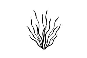 Abstract Seaweed Plant with Wavy Leaves in Black and White Minimalist Design Isolated on White Background Decorative Element Silhouette vector