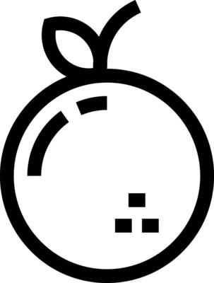 Auspicious Chinese Orange Fruit Icon