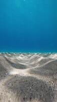 shapes on the underwater seabed sand video