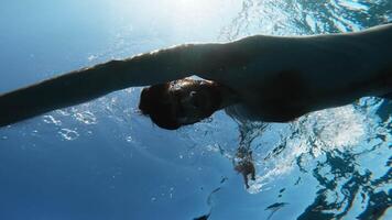 swimming in the sea in freestyle video