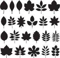 Collection of Twenty Four Black Silhouettes of Various Leaf Shapes and Branch Arrangements Isolated on White Background Illustration Graphic vector