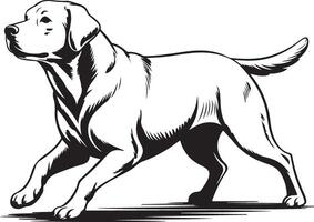 Black and White Illustration of a Labrador Retriever Dog in Motion Trotting Side Profile View Monochrome Canine Graphic vector