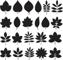 Twenty Four Black Silhouettes of Various Leaf Shapes and Branch Arrangements Isolated on White Background Illustration Set Botanical Design Elements vector