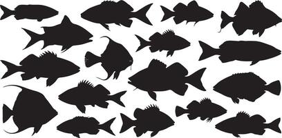 Black Silhouettes of Various Fish Species Illustration Collection Aquatic Life Ocean Wildlife Marine Animals Sea Creatures Underwater World vector