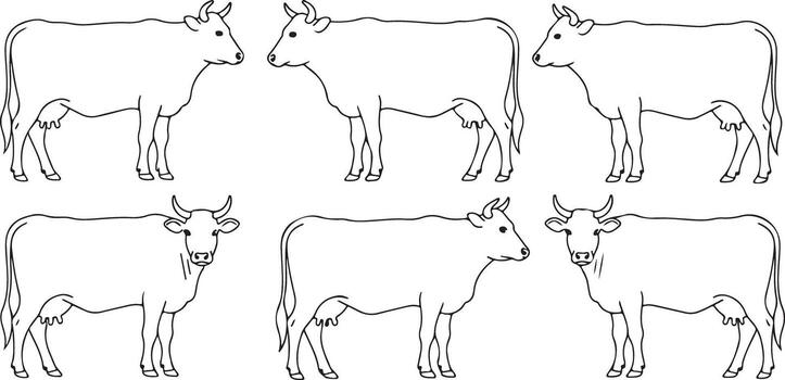 Six Black Line Drawings of Cows Facing Different Directions Some Cows Facing Each Other Two Cows Facing Right Two Cows Facing Left Two Cows Facing Forward vector