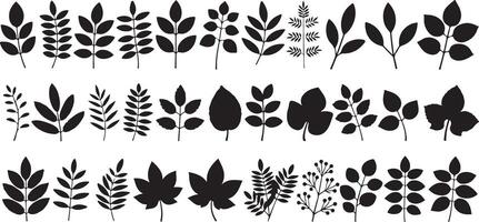 Collection of Thirty Black Silhouettes of Various Leaf and Branch Designs Simple Minimalist Botanical Illustrations for Design Projects vector