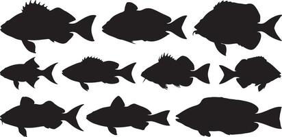 Twelve Black Fish Silhouettes Illustration Set Aquatic Life Marine Animal Icons Graphic Design Elements vector