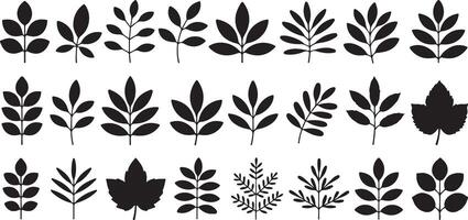 Collection of twenty four black silhouettes of various leaf and branch designs simple minimalist botanical illustrations traced from nature vector