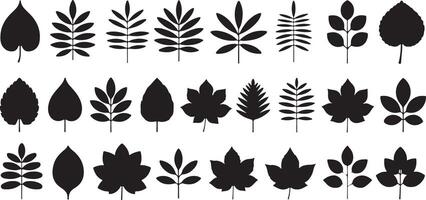 Thirty black leaf silhouettes various shapes and sizes botanical traced illustrations nature design elements simple minimalist graphic foliage vector