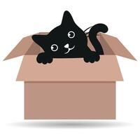 Illustration of cute black cat in cardboard box vector
