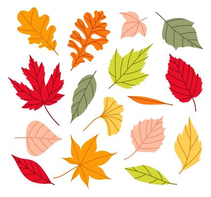 Set different leaves of maple, oak and other trees. Autumn leaves. Autumn decoration in flat style. Yellow, red, orange fall leaf for pattern, banner, sticker. Hello autumn.