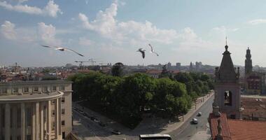 Porto Skyline At Porto In District Of Porto Portugal 03 video