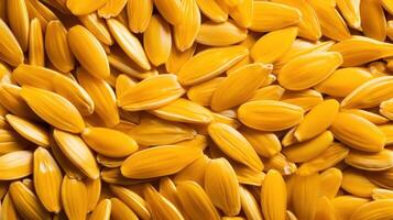 Pile of sunflower seeds, close-up, yellow, natural, texture photo