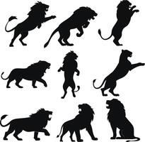 Lion silhouette bundle set design A collection of 9 black lion silhouette vector