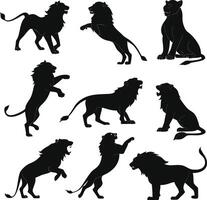 Lion silhouette bundle set design vector