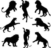 Lion silhouette bundle set design A collection of 9 black lion silhouettes in various poses, including jumping, standing, sitting, and digital use white background vector