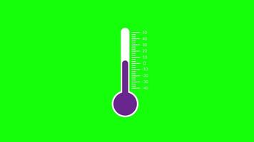 Thermometer Temperature Scale Green Screen Animation video