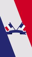 Two French Flags And Tricolor. Vertical Animation video