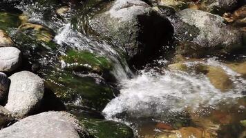 Stream Flowing Over Rocks With Green Moss Ashland OR video