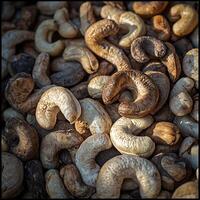 Close-up of Raw Cashew Nuts, Rich Textures and Warm Tones. photo