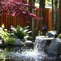 Serene Backyard Water Feature with Japanese Maple. A tranquil scene of a cascading waterfall in a peaceful garden setting. photo