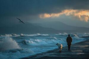 A man and a dog walking on a pier photo