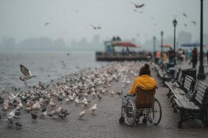 A woman in a wheelchair is surrounded by birds photo