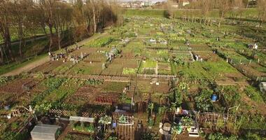 Aerial View of Community Gardens video