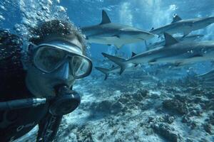 A man with scuba gear and a shark in the water photo