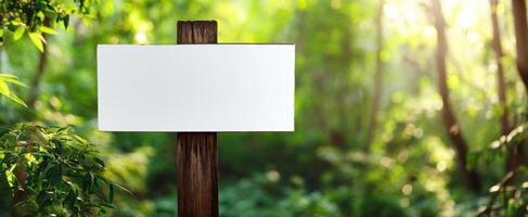 The blank wooden signpost amidst a serene and vibrant forest setting. photo