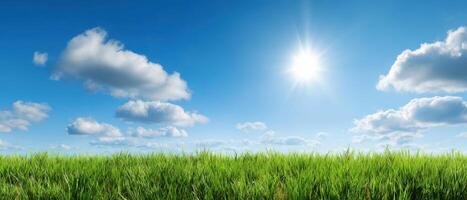 The tranquil landscape featuring lush green grass under a bright blue sky photo