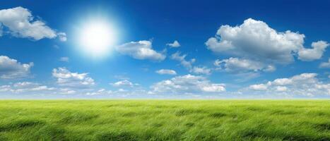 The vibrant green field under a clear blue sky and shining sun. photo