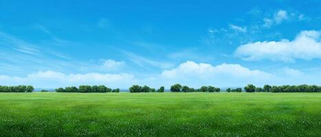 The expansive green field under a bright blue sky with fluffy clouds. photo