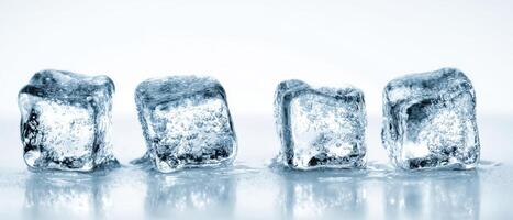 The vibrant ice cubes adding a refreshing touch to your beverage presentation photo