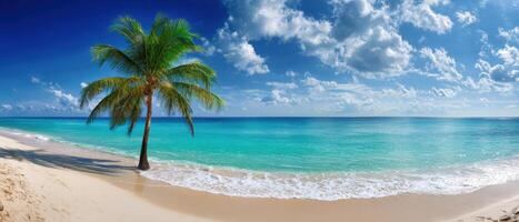 The tropical beach with a palm tree and clear blue ocean waters. photo