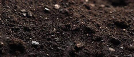 The Rich Texture of Soil Perfect for Gardening and Agriculture photo