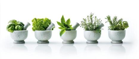 The beautiful assortment of fresh herbs in elegant mortar and pestle. photo