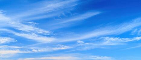 The serene blue sky with wispy clouds creates a perfect daydream backdrop. photo