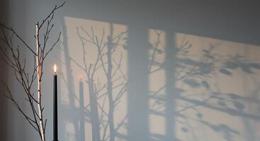 A candle is lit in front of a window photo