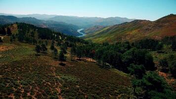 Stunning nature with mountains and river in the middle Aerial View video