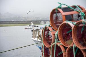 Octupus traditional fishing cage. These traditional cages, called nasa in Spanish, are used to capture octupus, one of the most important seafood in Galicia.4 photo