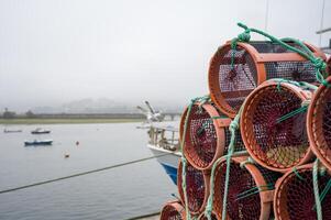 Octupus traditional fishing cage. These traditional cages, called nasa in Spanish, are used to capture octupus, one of the most important seafood photo