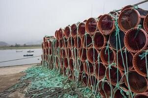 Octupus traditional fishing cage. These traditional cages, called nasa in Spanish, are used to capture octupus, one of the most important seafood in Galicia. photo
