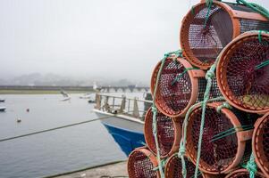 Octupus traditional fishing cage. These traditional cages, called nasa in Spanish, are used to capture octupus, one of the most important seafood ..in Galicia. photo