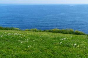 green coast of gijon photo