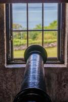 A cannon sitting in a window photo