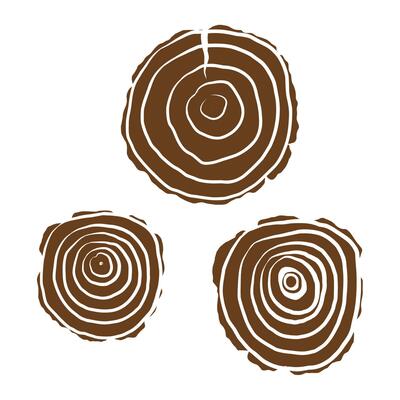 Round rings of Wooden saw cut woodworking. Hand drawn sketch with Wood discs, lumber round moldings birch, ash, oak. Illustration for design. Nature, decor, construction, forest tree