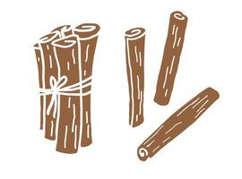 Cinnamon sticks, bark brown spice hand drawn. Set with rolled Cinnamons. Heap Spicy seasoning, condiment aromatic ingredient for cooking, backing, food. Illustration on isolated background vector