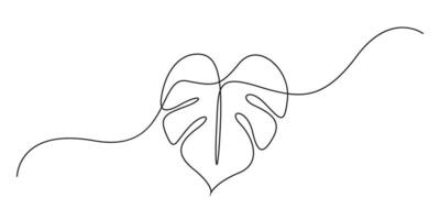 Monstera leaf continuous one line drawing graphic illustration vector