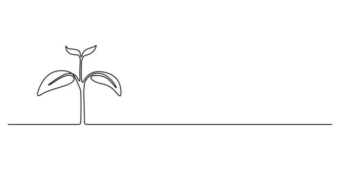 Continuous one line drawing of growth sprout isolated on white background graphic illustration vector